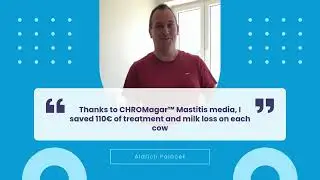 Chromogenic media for veterinary bacteria testing - CHROMagar