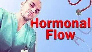 Easy to Remember Pattern for Hormonal Flow