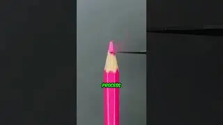 Incredible Mini Sculptures Carved on a Pencil Tip #shorts