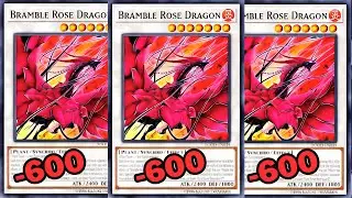BURN, BURN, BURN - 3 WAYS TO ABUSE NEW SUPPORT ROSE DRAGON 2025!