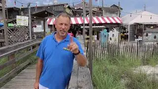 Big Earl and Bulls on the Beach