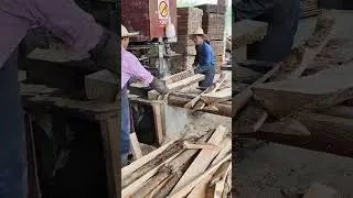 Tree Cutting Machine in Action #machinesatwork #shortvideo #farming #viralvideo