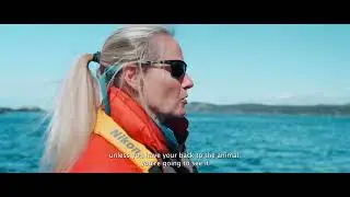 The Observer (trailer)