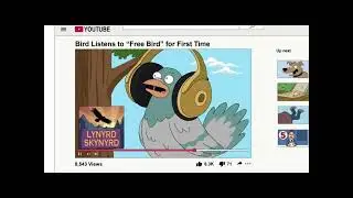 Family Guy Bird Listens to 