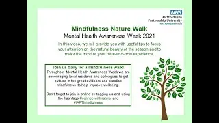 Mindfulness Nature Walk