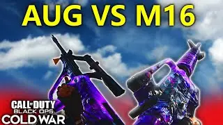 AUG vs M16 Call of Duty- (Cold War)