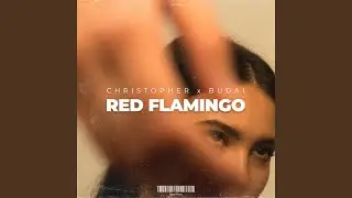 Red Flamingo