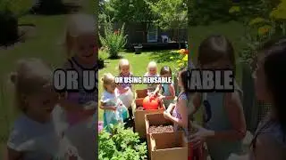Fostering Children's Environmental Awareness