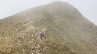 Catstycam