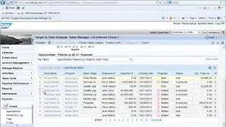 SAP CRM Sales Performance Tracking