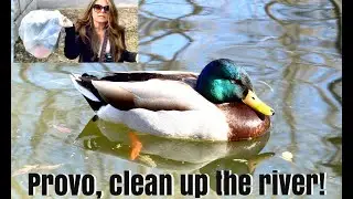 Provo river trail, from the Utah lake to the Provo canyon (trash day)