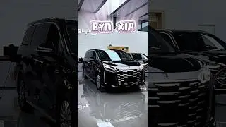 BYD XIA