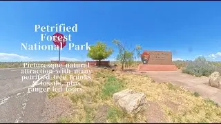 Route 66 D9 Petrified Forest National Park air