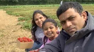 Garson Farm Pick Your Own  2024