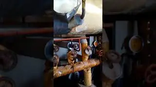 Curiosidades de sala de máquinas com compressores Madef