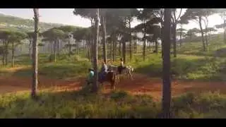 Pineland Resort