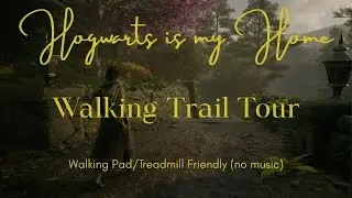 Hogwarts is my HOME Walk | Walking Workout or Study Ambience in Hogwarts Legacy [HD]