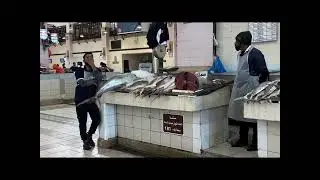 കുവൈറ്റിലെ ഷർഖ് ഫിഷ് മാർക്കറ്റിലെ ലേലം കണ്ടിട്ടുണ്ടോ? 🐟 | Sharq Fish Market Kuwait Malayalam Vlog | 