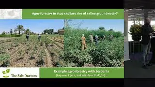 AIWW2021 - TS13 - Arjen de Vos: Crop Cultivation under Saline Conditions