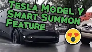 Tesla Model Y Self Driving | Tesla Model Y Performance Self Driving