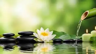 Soothing Water Sounds 😴 Sleep Music for Insomnia Healing and Deep Relaxation
