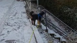 В тот день шел снег.