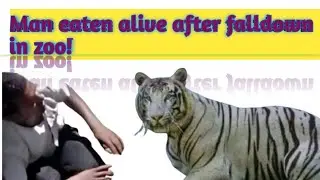 Man eaten alive after falldown in zoo.