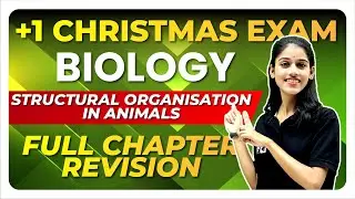 Plus One Christmas Exam | Biology | Structural Organisation in Animals | Full Chapter | Exam Winner