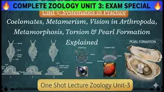 Unit 3- Zoology | Metamerism, Vision in Arthropoda, Metamorphosis, Torsion & Pearl Formation