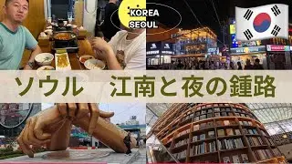 【韓国旅行】ソウル•江南と夜の鍾路(チョンノ) Seoul / Gangnam & Jongno at night
