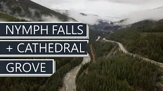 Nymph Falls + Cathedral Grove | Driving from Campbell River to Ucluelet