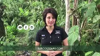 Surcos Tours - Espa&ntilde;ol