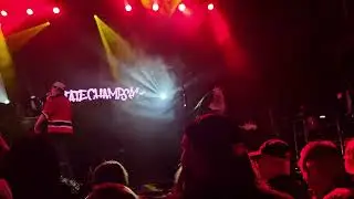 Mine Is Gold- State Champs