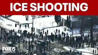 ICE agent fatally shoots woman in Minneapolis: Witness recounts shooting