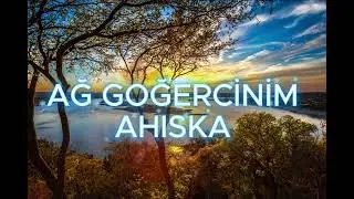 Ağ Göğercinim - (Ahıska Müzik) Ахысха музыка