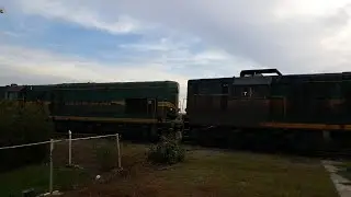 Locomotive ŽRS & Serbia Cargo JSC 661-033 & 138 / COSCO Freight train (NS-PA) / Titel, 21.10.2020.