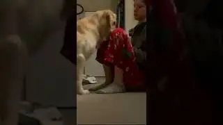 কতোটা আবেগপ্রবন! ভাবা যায়#SoulfulPaws#HeartOfADog#EmotionalBond#DogLovePure#EyesFullOfLove