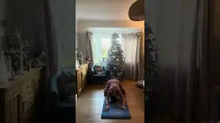 Yoga for Hips & Core 
