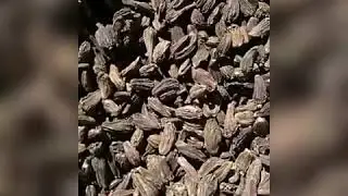 large cardamom farmer from Senapti DIstrict, Manipur shows their product