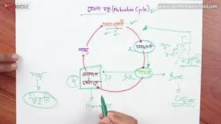 ০৭.০৩. অধ্যায় ৭ : প্রেষণা - প্রেষণা চক্র [HSC]