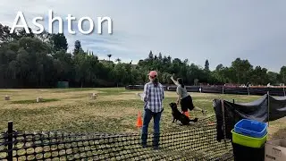 Dog Event Day Today - AKC Fetch Test with a Few of our Labs - Coal, Ember, and Ashton