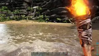 Ark Getting Started