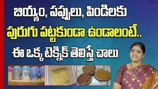 Easy Tips to Store Pulses || How to protect Pulses from Insects || Kalpavalli || SumanTV Mom