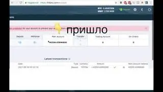 Перевод yoyow с binance на hitbtc