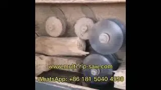 Round Log Multi Rip Saw for Dry Poplar, Multi Blade Rip Sawmill, Multi Rip Saw for Sale