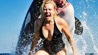 2025 Orca Attack on Girl | Killer Whale Strikes Female Trainer During Ocean Show | Dramatic Scene
