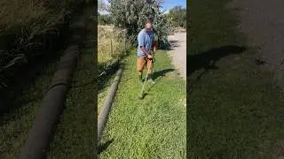 Trimming overgrown Grass! #overgrown #lawncare #shorts