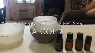 Essential Oils to Diffuse for a Cold