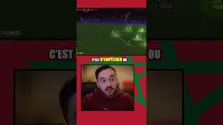 Le plan anti-Baleba : comment le Maroc l&rsquo;a &eacute;teint 🇲🇦