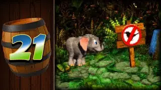 Donkey Kong Country 3 (Blind!) - Episode 21 - 